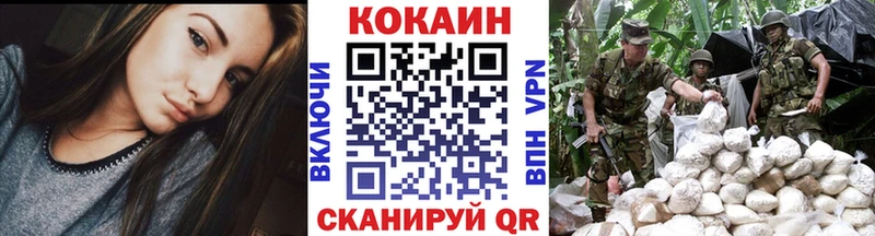Cocaine FishScale  кракен вход  Заводоуковск  где продают наркотики 