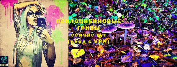 spice Алзамай