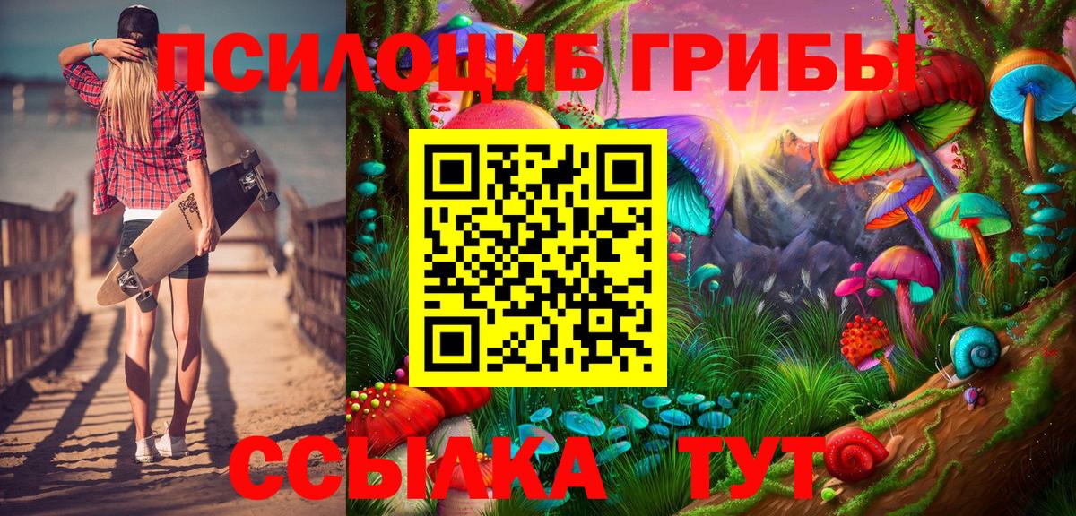 Псилоцибиновые грибы GOLDEN TEACHER  Вход с VPN  Заводоуковск  Псилоцибиновые грибы мицелий 