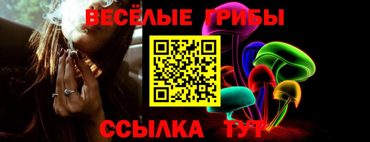 Галлюциногенные грибы GOLDEN TEACHER Заводоуковск