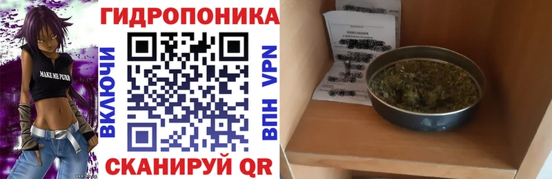 нарко площадка наркотические препараты  Заводоуковск  Каннабис сатива  kraken онион 